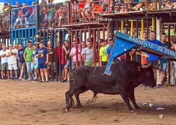 Fiestas Patronales en Algimia de Alfara