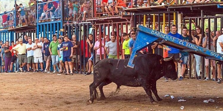 Fiestas Patronales en Algimia de Alfara